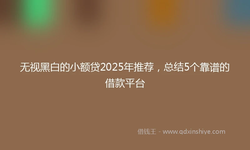 无视黑白的小额贷2025年推荐，总结5个靠谱的借款平台