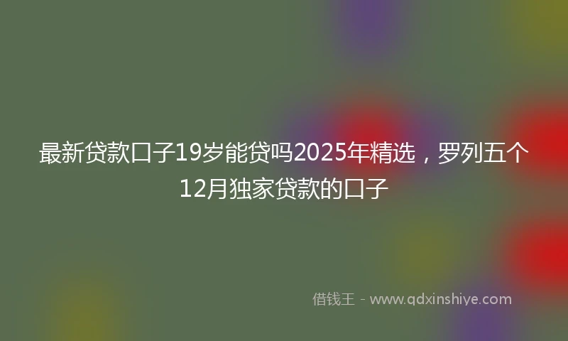 最新贷款口子19岁能贷吗2025年精选，罗列五个12月独家贷款的口子