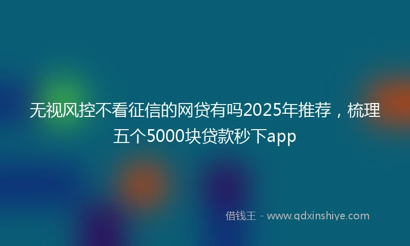 无视风控不看征信的网贷有吗2025年推荐，梳理五个5000块贷款秒下app
