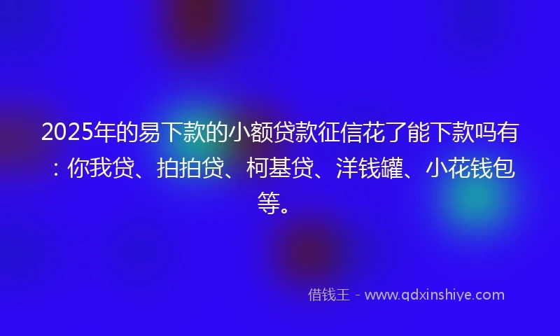 2025年的易下款的小额贷款征信花了能下款吗有：你我贷、拍拍贷、柯基贷、洋钱罐、小花钱包等。