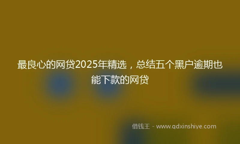 最良心的网贷2025年精选，总结五个黑户逾期也能下款的网贷
