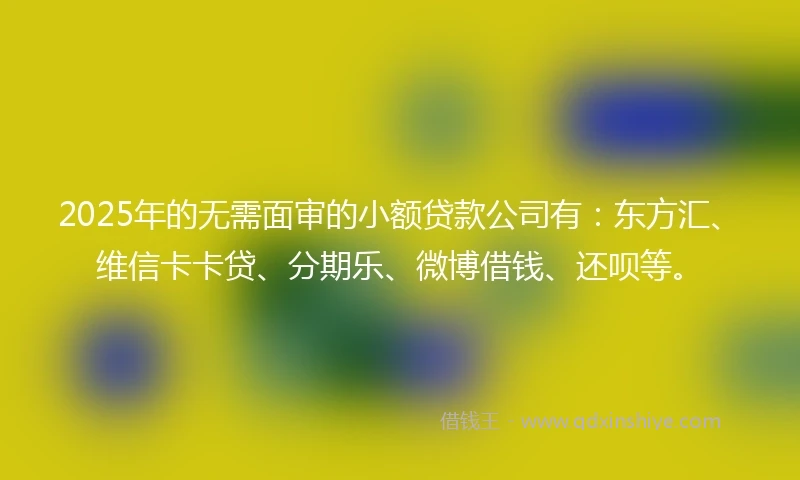 2025年的无需面审的小额贷款公司有：东方汇、维信卡卡贷、分期乐、微博借钱、还呗等。