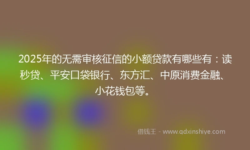 2025年的无需审核征信的小额贷款有哪些有：读秒贷、平安口袋银行、东方汇、中原消费金融、小花钱包等。