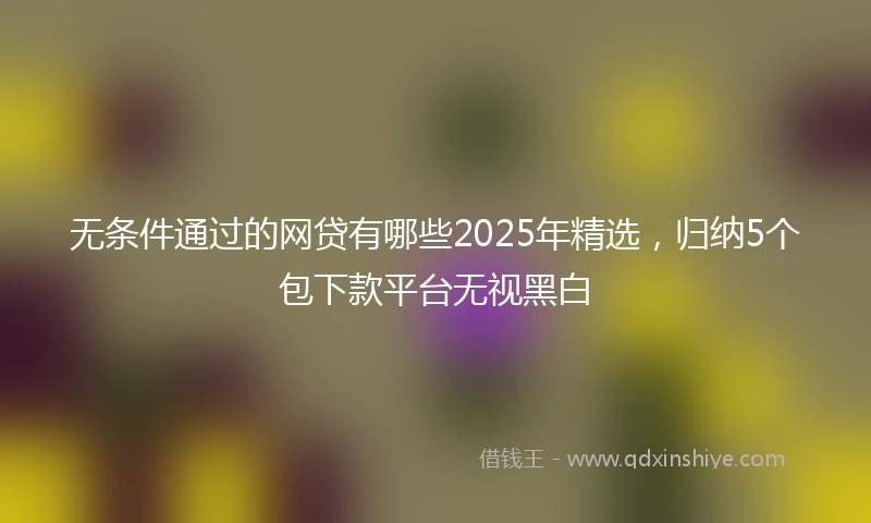 无条件通过的网贷有哪些2025年精选，归纳5个包下款平台无视黑白