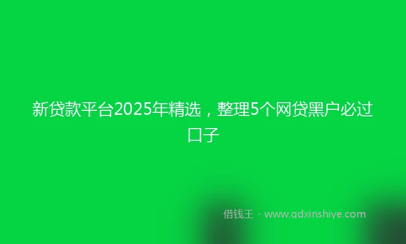 新贷款平台2025年精选，整理5个网贷黑户必过口子