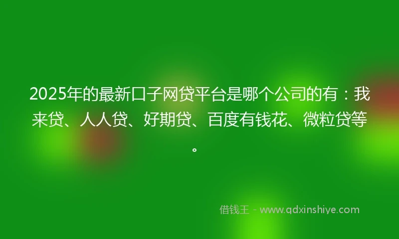 2025年的最新口子网贷平台是哪个公司的有：我来贷、人人贷、好期贷、百度有钱花、微粒贷等。