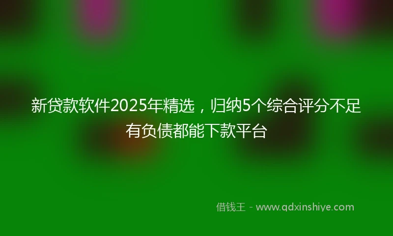 新贷款软件2025年精选，归纳5个综合评分不足有负债都能下款平台
