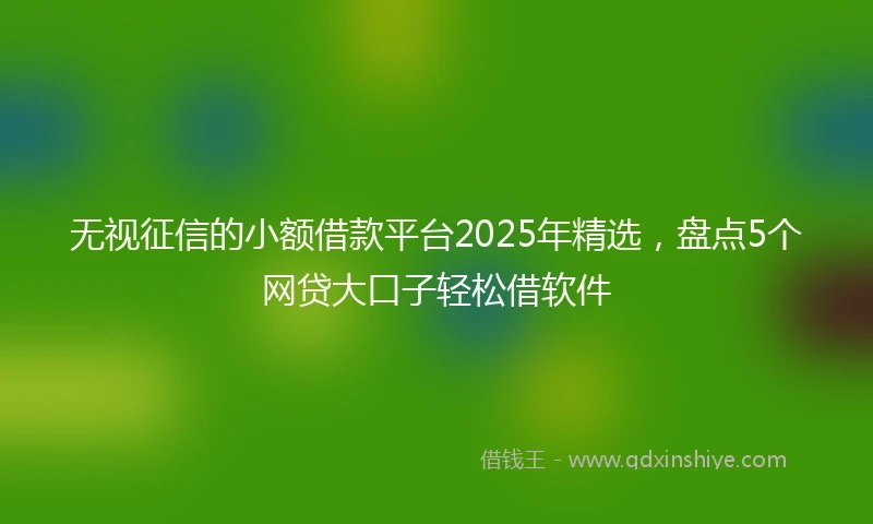 无视征信的小额借款平台2025年精选，盘点5个网贷大口子轻松借软件