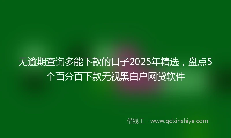 无逾期查询多能下款的口子2025年精选，盘点5个百分百下款无视黑白户网贷软件