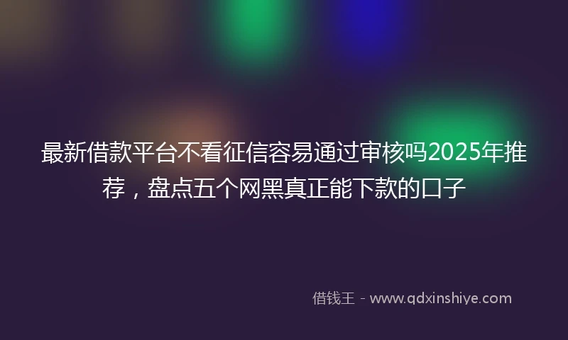 最新借款平台不看征信容易通过审核吗2025年推荐，盘点五个网黑真正能下款的口子