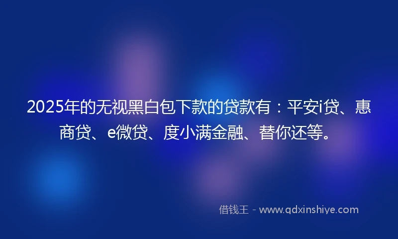 2025年的无视黑白包下款的贷款有：平安i贷、惠商贷、e微贷、度小满金融、替你还等。