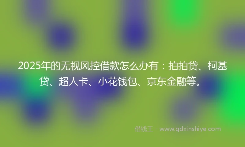 2025年的无视风控借款怎么办有：拍拍贷、柯基贷、超人卡、小花钱包、京东金融等。
