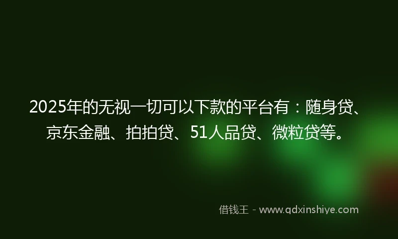 2025年的无视一切可以下款的平台有：随身贷、京东金融、拍拍贷、51人品贷、微粒贷等。