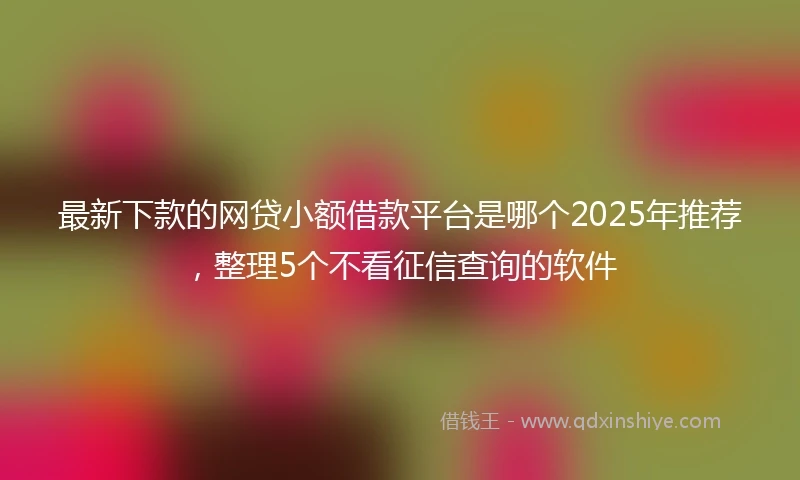 最新下款的网贷小额借款平台是哪个2025年推荐，整理5个不看征信查询的软件