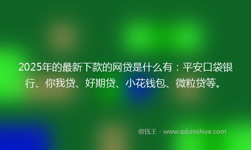 2025年的最新下款的网贷是什么有：平安口袋银行、你我贷、好期贷、小花钱包、微粒贷等。