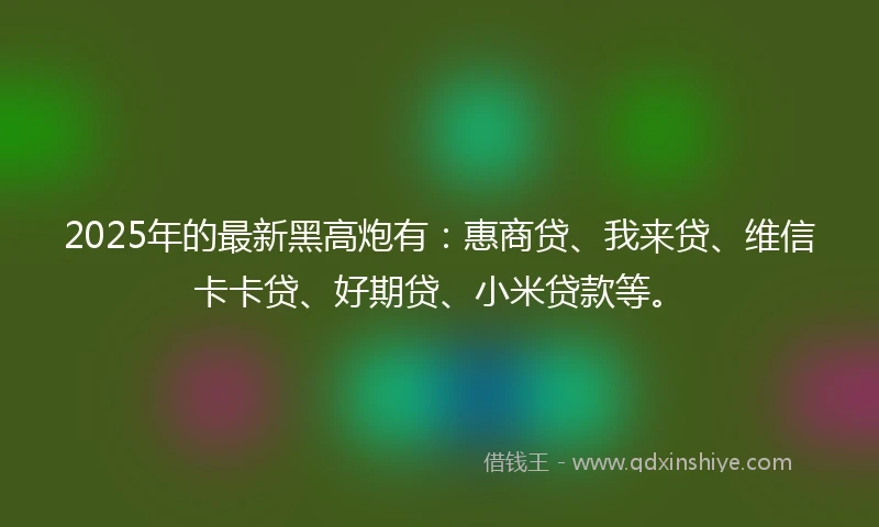 2025年的最新黑高炮有：惠商贷、我来贷、维信卡卡贷、好期贷、小米贷款等。