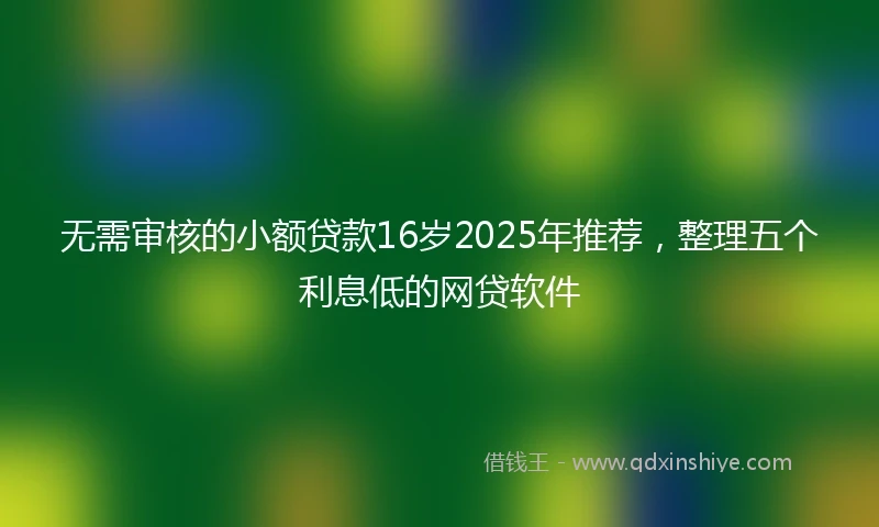 无需审核的小额贷款16岁2025年推荐，整理五个利息低的网贷软件