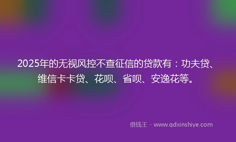 2025年的无视风控不查征信的贷款有：功夫贷、维信卡卡贷、花呗、省呗、安逸花等。