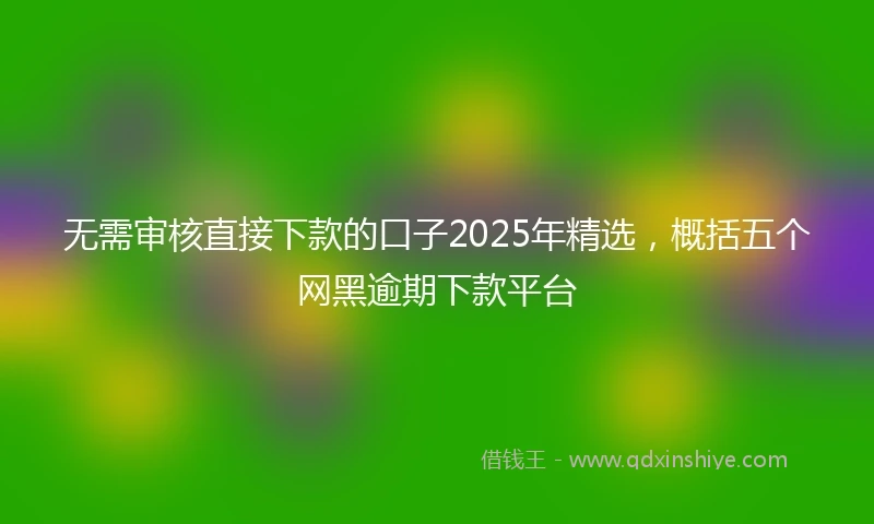 无需审核直接下款的口子2025年精选，概括五个网黑逾期下款平台