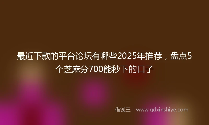 最近下款的平台论坛有哪些2025年推荐，盘点5个芝麻分700能秒下的口子