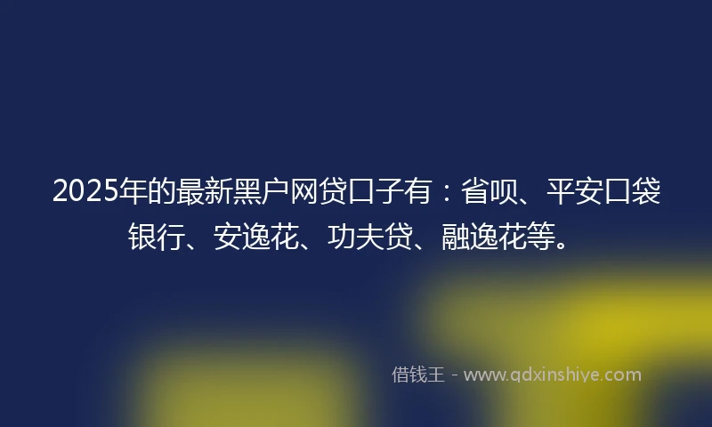 2025年的最新黑户网贷口子有:省呗、平安口袋银行、安逸花、功夫贷、融逸花等。