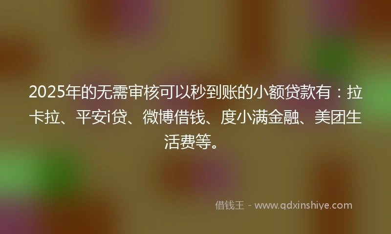 2025年的无需审核可以秒到账的小额贷款有：拉卡拉、平安i贷、微博借钱、度小满金融、美团生活费等。