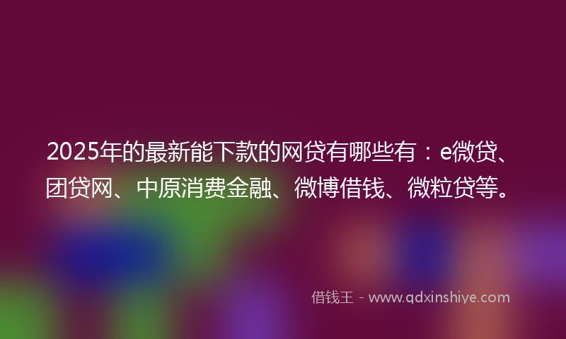 2025年的最新能下款的网贷有哪些有：e微贷、团贷网、中原消费金融、微博借钱、微粒贷等。