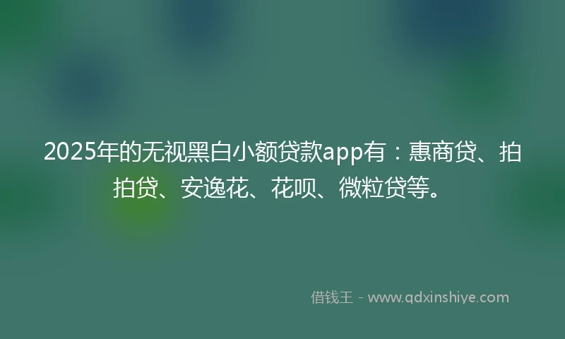 2025年的无视黑白小额贷款app有：惠商贷、拍拍贷、安逸花、花呗、微粒贷等。