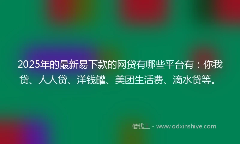 2025年的最新易下款的网贷有哪些平台有：你我贷、人人贷、洋钱罐、美团生活费、滴水贷等。