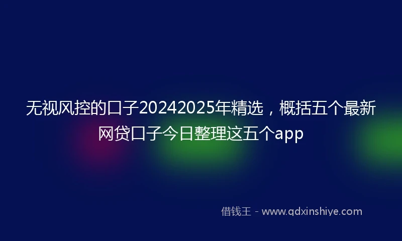 无视风控的口子20242025年精选，概括五个最新网贷口子今日整理这五个app