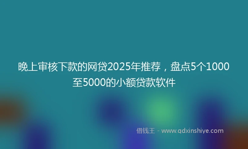 晚上审核下款的网贷2025年推荐，盘点5个1000至5000的小额贷款软件