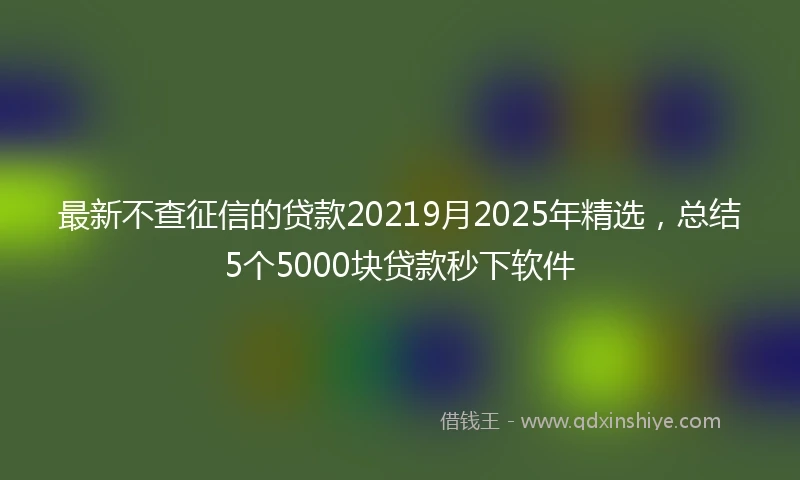 最新不查征信的贷款20219月2025年精选，总结5个5000块贷款秒下软件