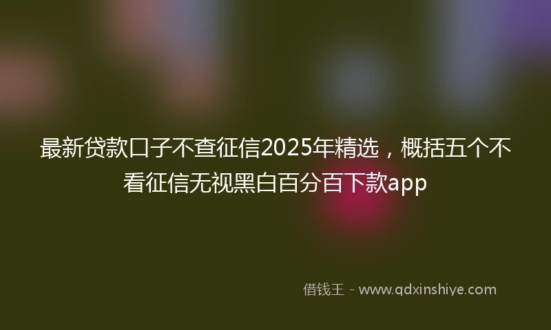 最新贷款口子不查征信2025年精选，概括五个不看征信无视黑白百分百下款app