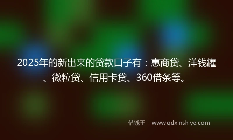 2025年的新出来的贷款口子有：惠商贷、洋钱罐、微粒贷、信用卡贷、360借条等。