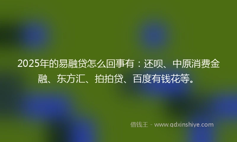2025年的易融贷怎么回事有：还呗、中原消费金融、东方汇、拍拍贷、百度有钱花等。
