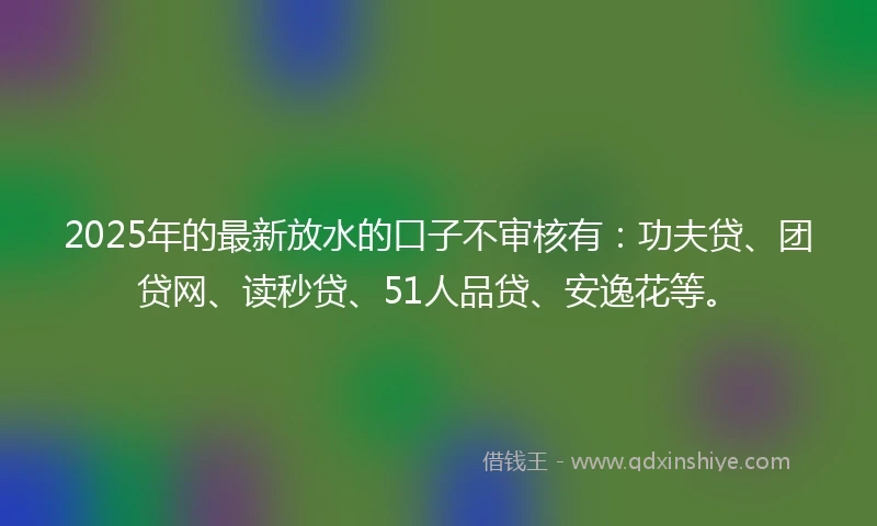2025年的最新放水的口子不审核有：功夫贷、团贷网、读秒贷、51人品贷、安逸花等。
