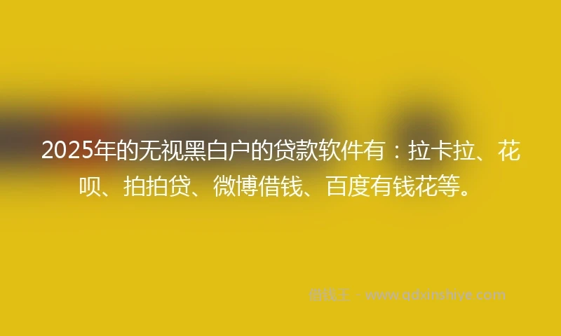2025年的无视黑白户的贷款软件有：拉卡拉、花呗、拍拍贷、微博借钱、百度有钱花等。