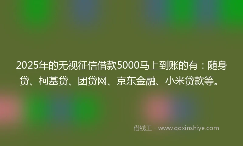 2025年的无视征信借款5000马上到账的有：随身贷、柯基贷、团贷网、京东金融、小米贷款等。