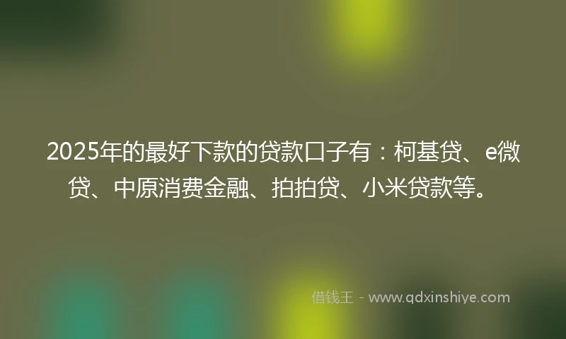 2025年的最好下款的贷款口子有：柯基贷、e微贷、中原消费金融、拍拍贷、小米贷款等。