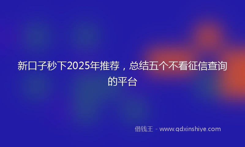 新口子秒下2025年推荐，总结五个不看征信查询的平台