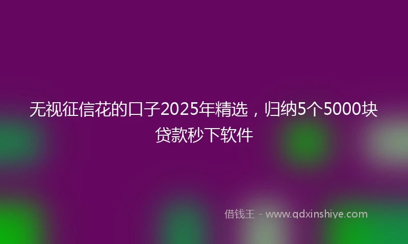 无视征信花的口子2025年精选，归纳5个5000块贷款秒下软件