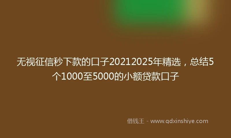 无视征信秒下款的口子20212025年精选，总结5个1000至5000的小额贷款口子