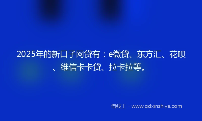 2025年的新口子网贷有：e微贷、东方汇、花呗、维信卡卡贷、拉卡拉等。