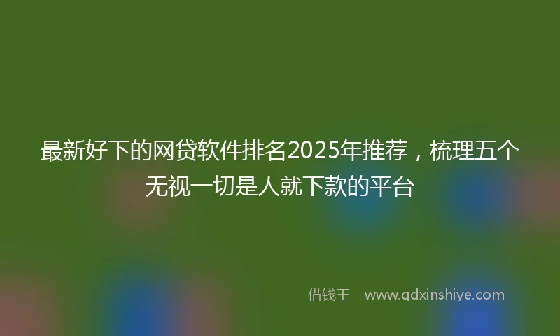最新好下的网贷软件排名2025年推荐，梳理五个无视一切是人就下款的平台