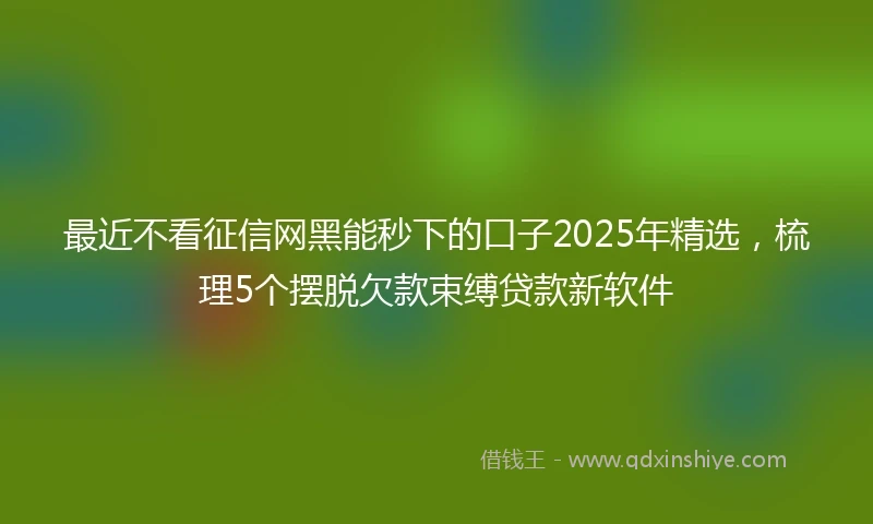 最近不看征信网黑能秒下的口子2025年精选，梳理5个摆脱欠款束缚贷款新软件