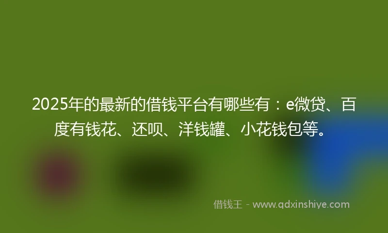 2025年的最新的借钱平台有哪些有：e微贷、百度有钱花、还呗、洋钱罐、小花钱包等。
