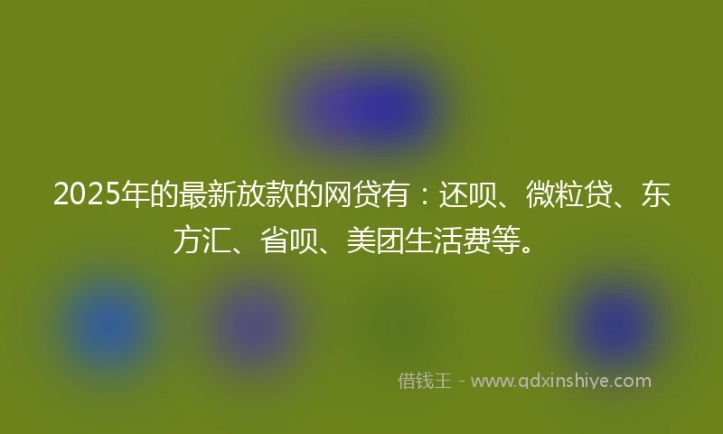 2025年的最新放款的网贷有：还呗、微粒贷、东方汇、省呗、美团生活费等。