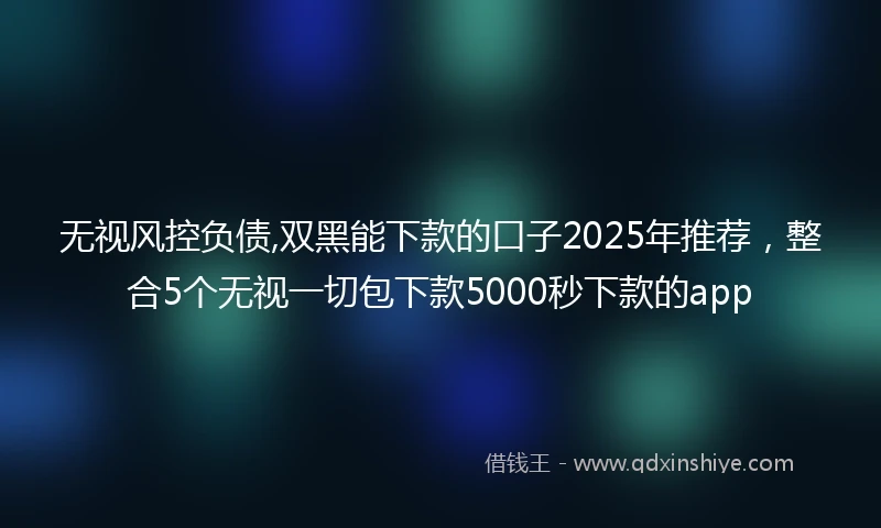 无视风控负债,双黑能下款的口子2025年推荐,整合5个无视一切包下款5000秒下款的app
