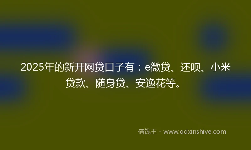 2025年的新开网贷口子有：e微贷、还呗、小米贷款、随身贷、安逸花等。
