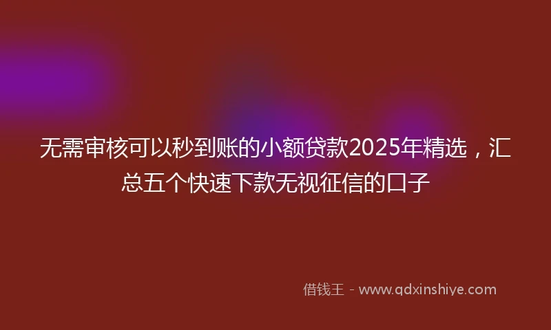 无需审核可以秒到账的小额贷款2025年精选，汇总五个快速下款无视征信的口子
